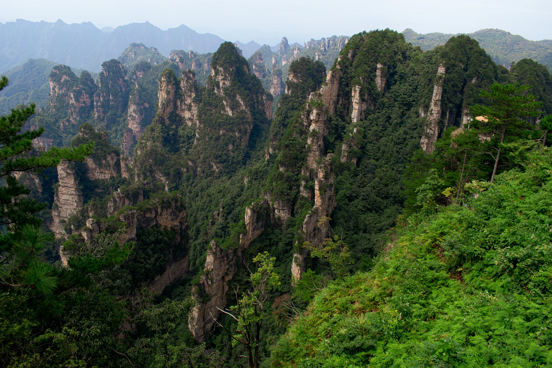 Tall rocky pillars covered in green forest beneath a hazy mountain skyline