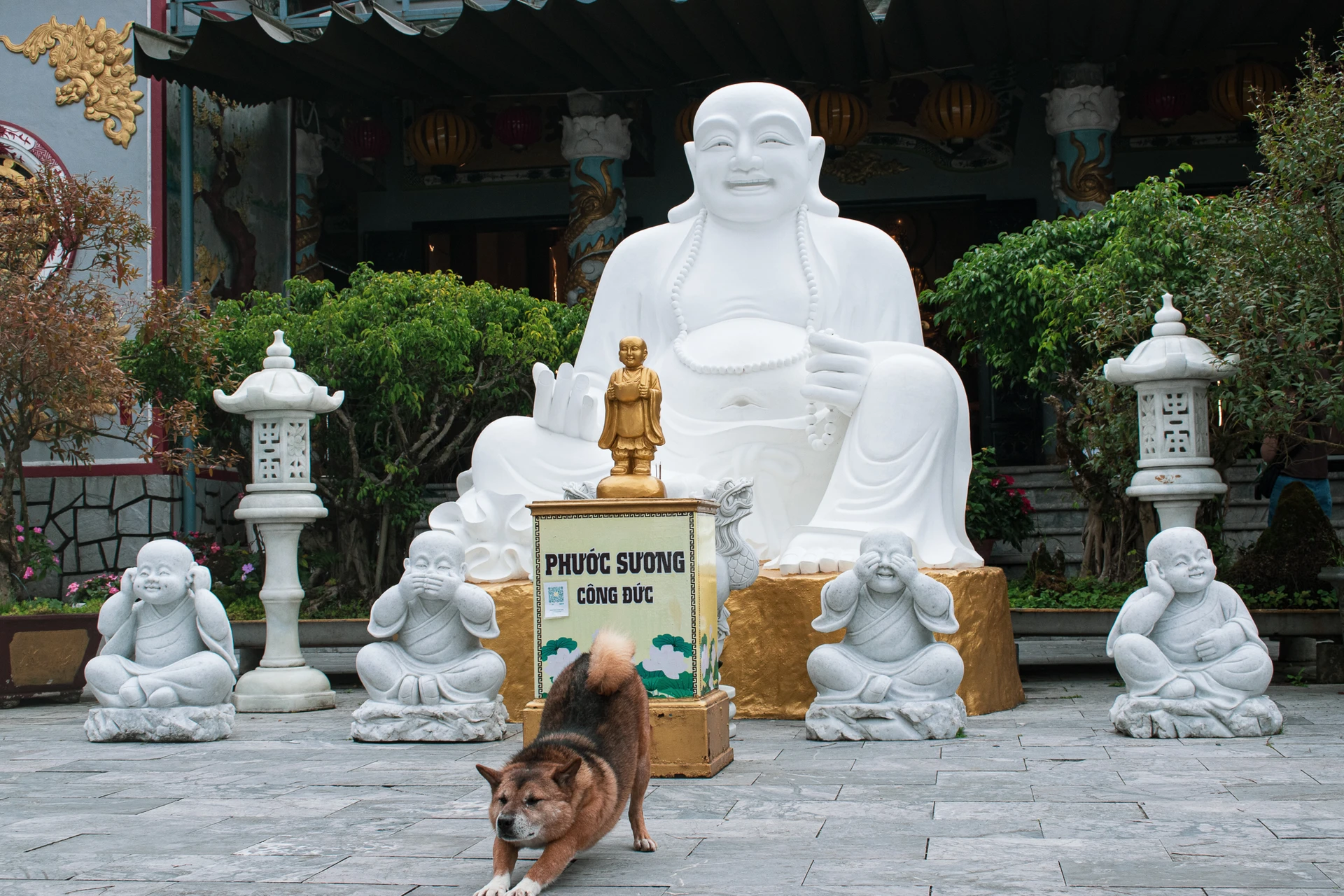 A dog stretching in front of a large white smiling Buddha and smaller statues in a temple courtyard
