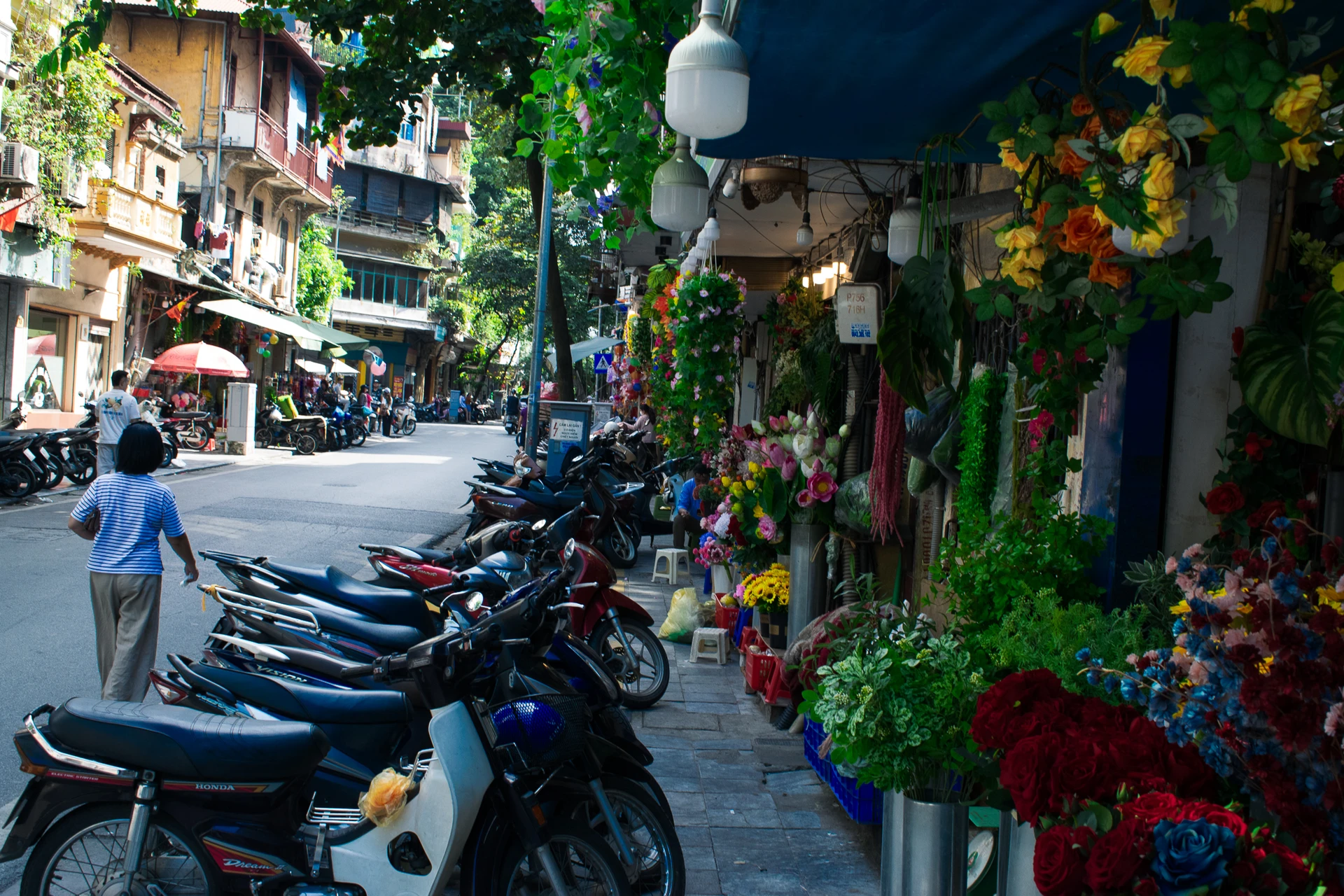 Parked motorbikes beside a flower shop on a leafy street lined with narrow buildings