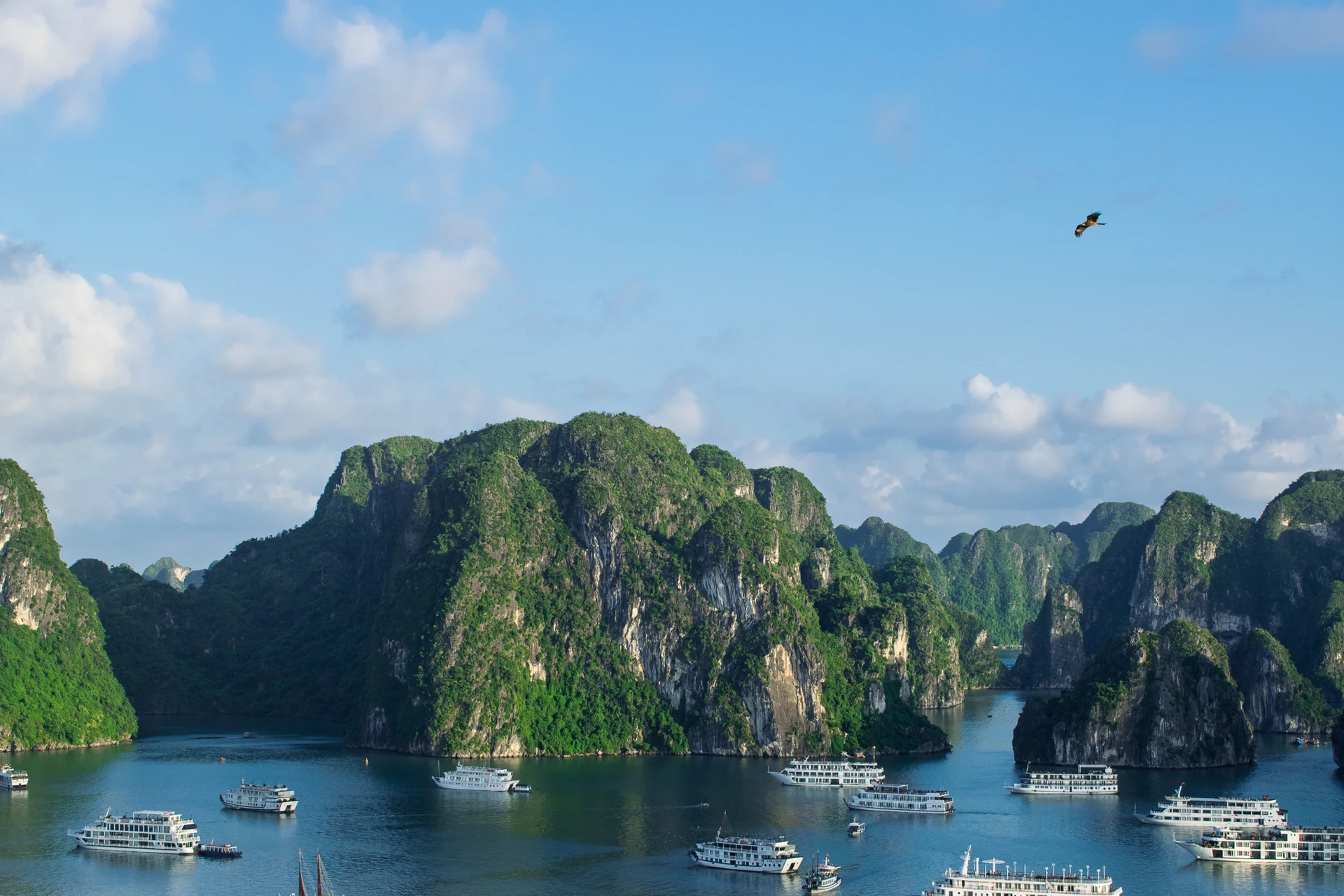 Boats gathered beneath steep green limestone islands in a blue bay
